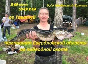 27bdd61d-7790-4362-a2de-eb6546e8b7e5